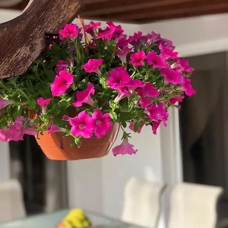 Exellent 3 Bedroom In Coral Bay