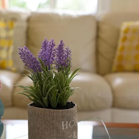 Exellent 3 Bedroom In Coral Bay Peyia