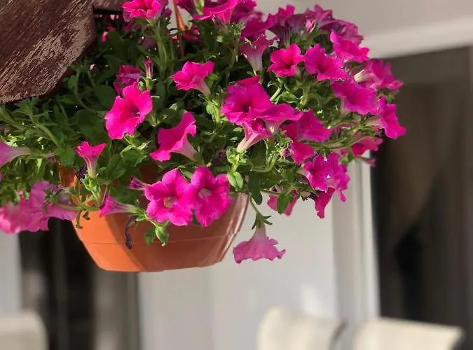 Exellent 3 Bedroom In Coral Bay