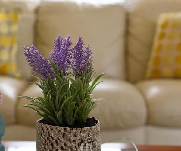 Exellent 3 Bedroom In Coral Bay Peja